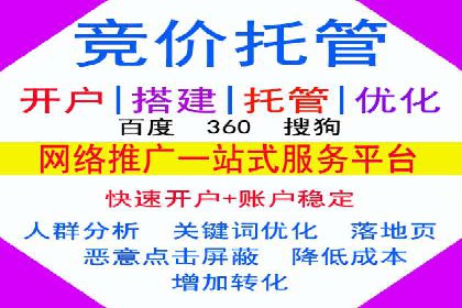 经典案例：SEM代运营服务公司的成功之路